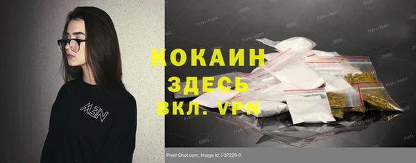 сатива Покачи