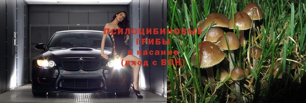 СК Балахна