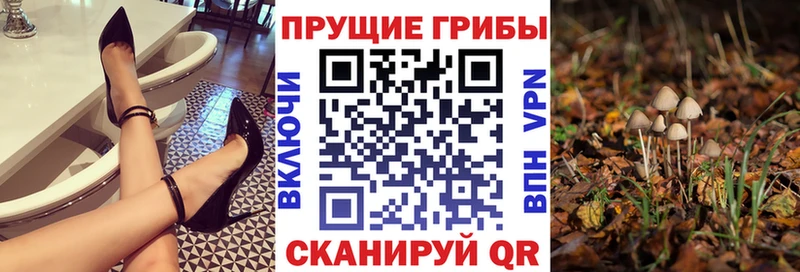 Галлюциногенные грибы GOLDEN TEACHER Кодинск