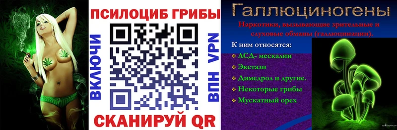 нарко площадка телеграм  купить закладку  Кодинск  Псилоцибиновые грибы Psilocybe 