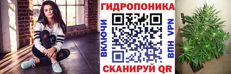 omg вход  Кодинск  Бошки марихуана THC 21%  где купить  
